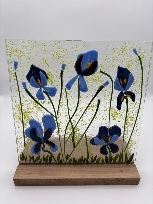 Lavender Irises